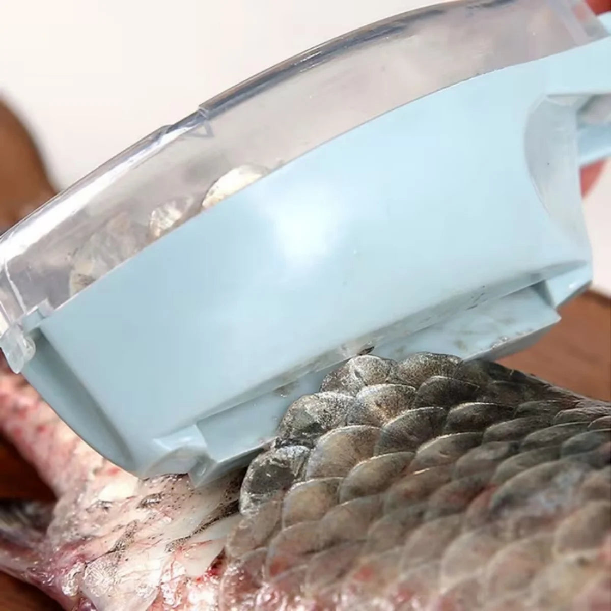 Fish Scales Scraper