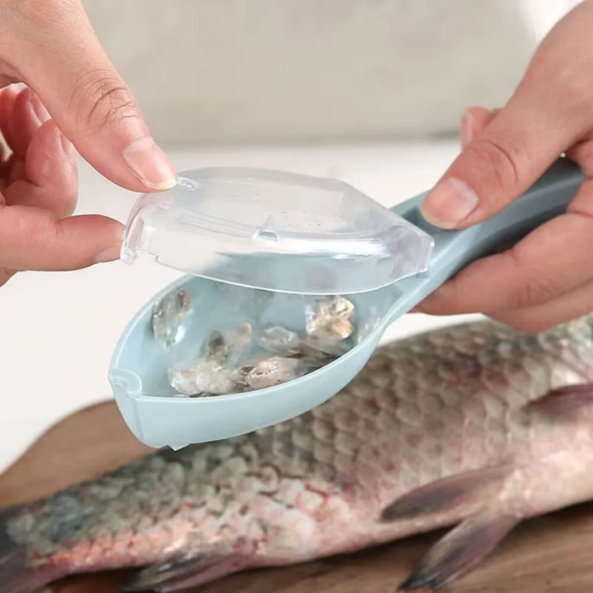 Fish Scales Scraper