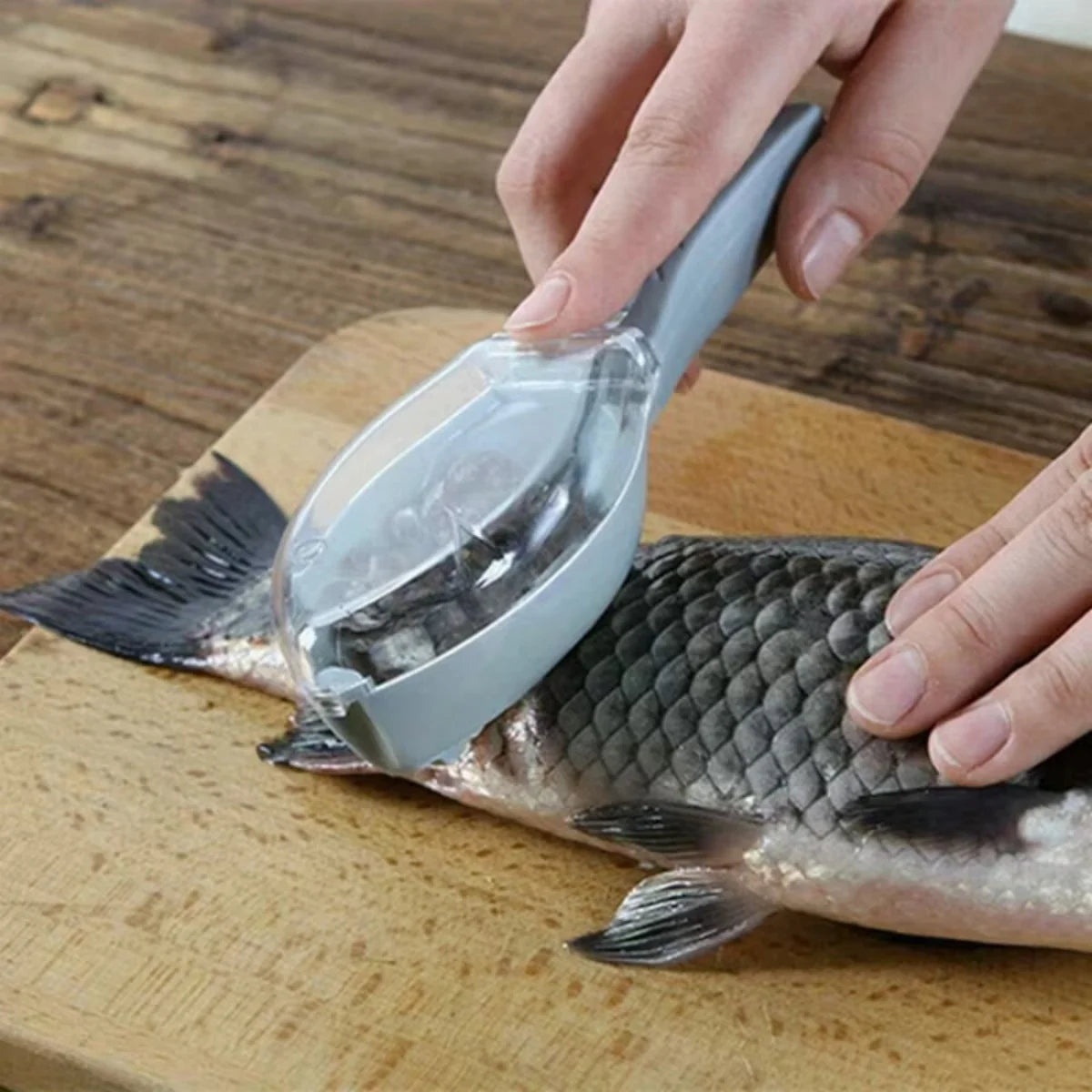 Fish Scales Scraper