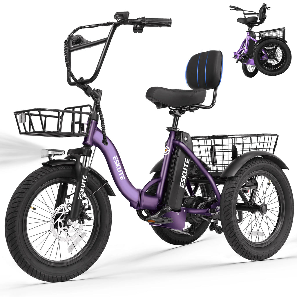 T300 Electric Bicycle Trike for Adults