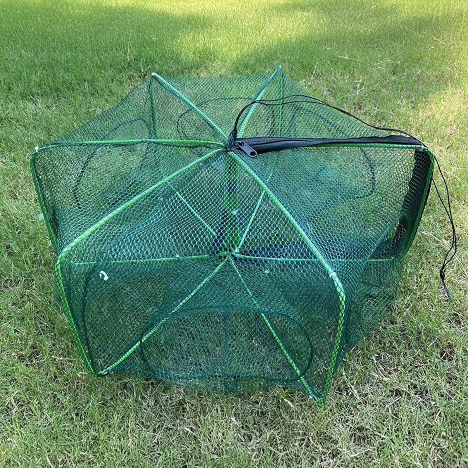 Lightweight Collapsible Fishing Trap
