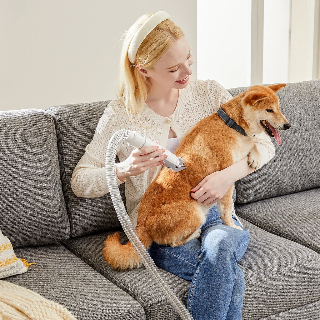 Professional Pet Grooming Vacuum Kit 3 Suction Modes and 5 Groomer Tools