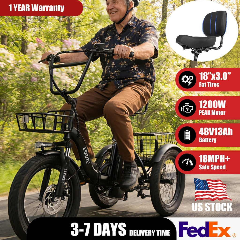 T300 Electric Bicycle Trike for Adults