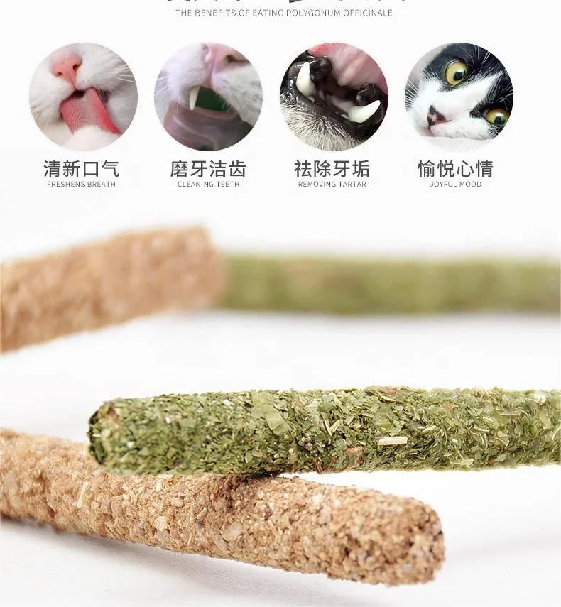 6pcs Natural Matatabi Cat Stick Mint Caught Bite Excited Rods Silvervine