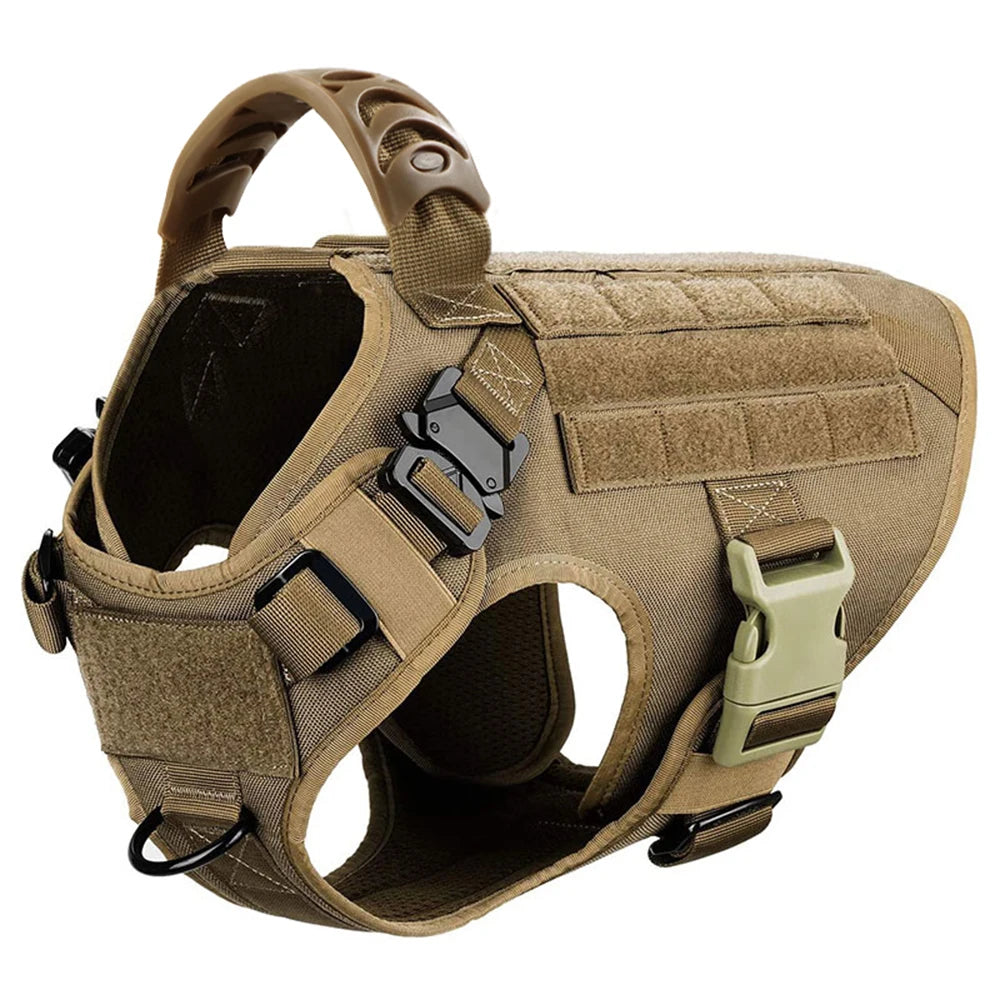 Leash, Harness And Collar For Medium Large Dogs