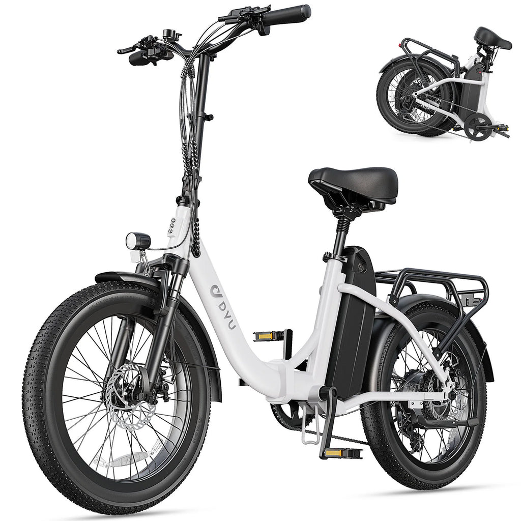 DYU C9 Electric Bicycle Peak 1000W Motor 48V15.6AH Lithium Battery Electric Bike Hydraulic Brake 20*3.0 Inch Fat Tire E-bike