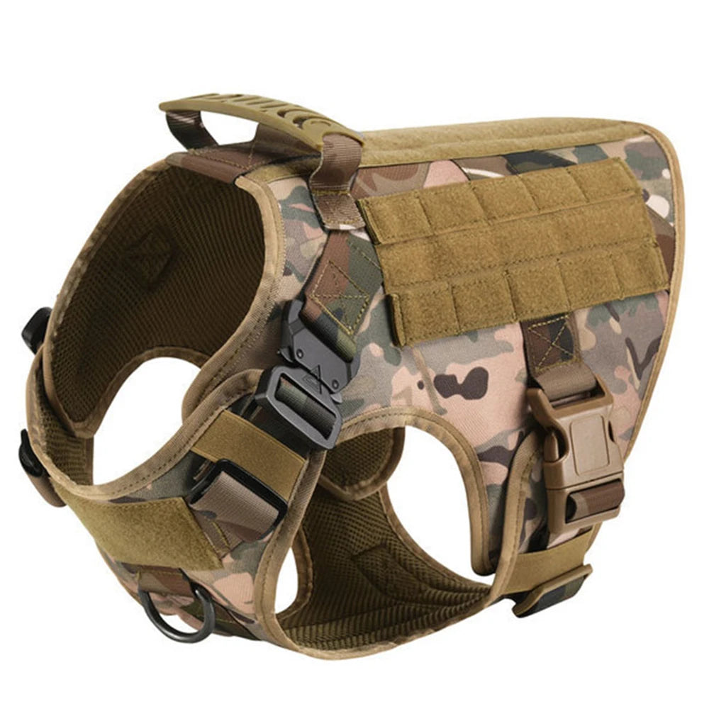 Leash, Harness And Collar For Medium Large Dogs