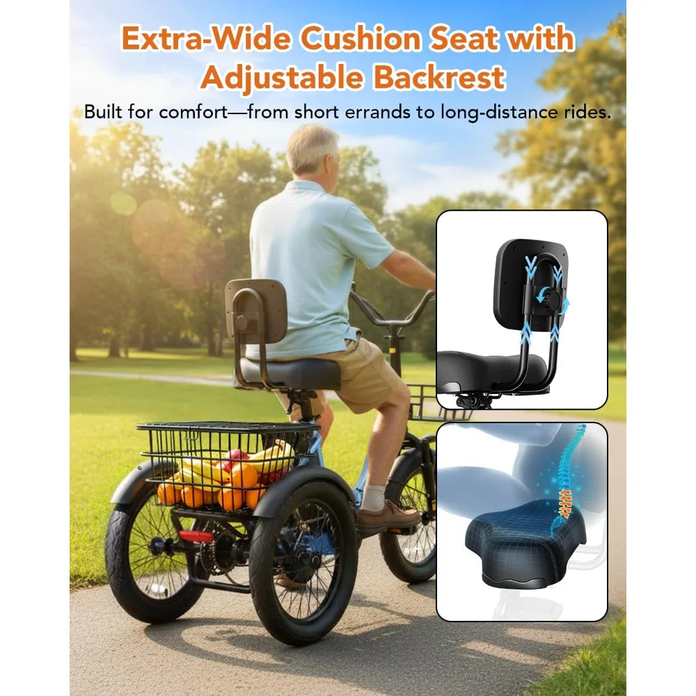 Folding Trike Ebike