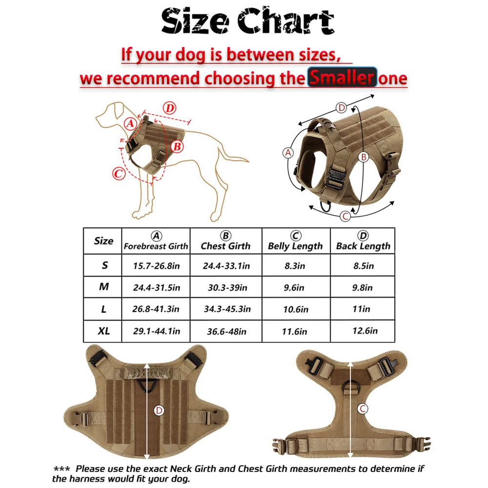 Leash, Harness And Collar For Medium Large Dogs
