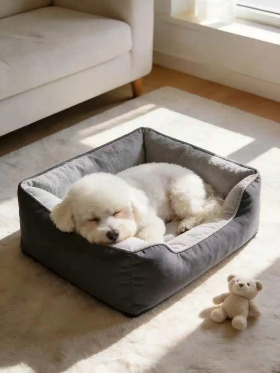 Dog Bed Dog Beds Puppy Keep Search Orthopedic Dog Bed Medium Sized