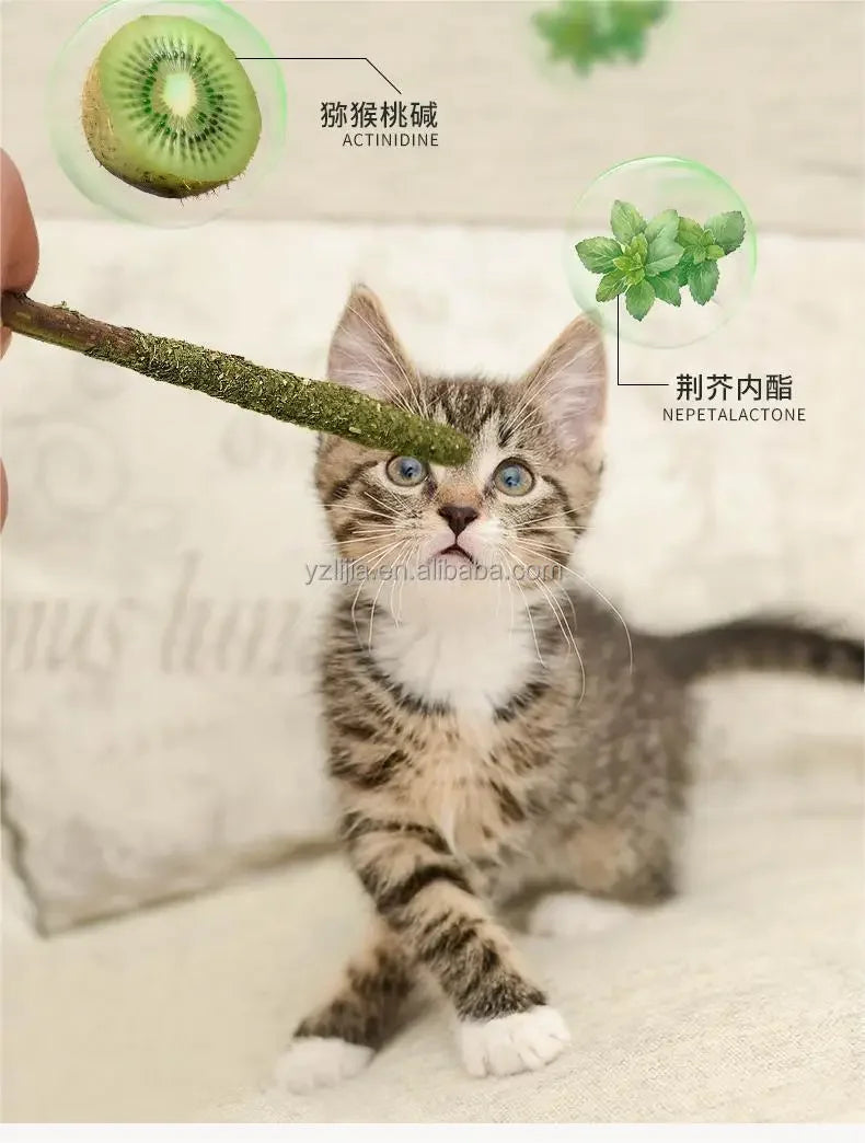 6pcs Natural Matatabi Cat Stick Mint Caught Bite Excited Rods Silvervine