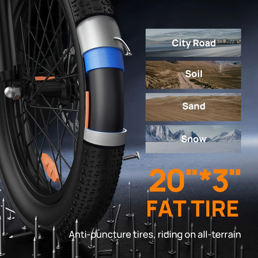 URLIFE 1000W E20 Electric Bike