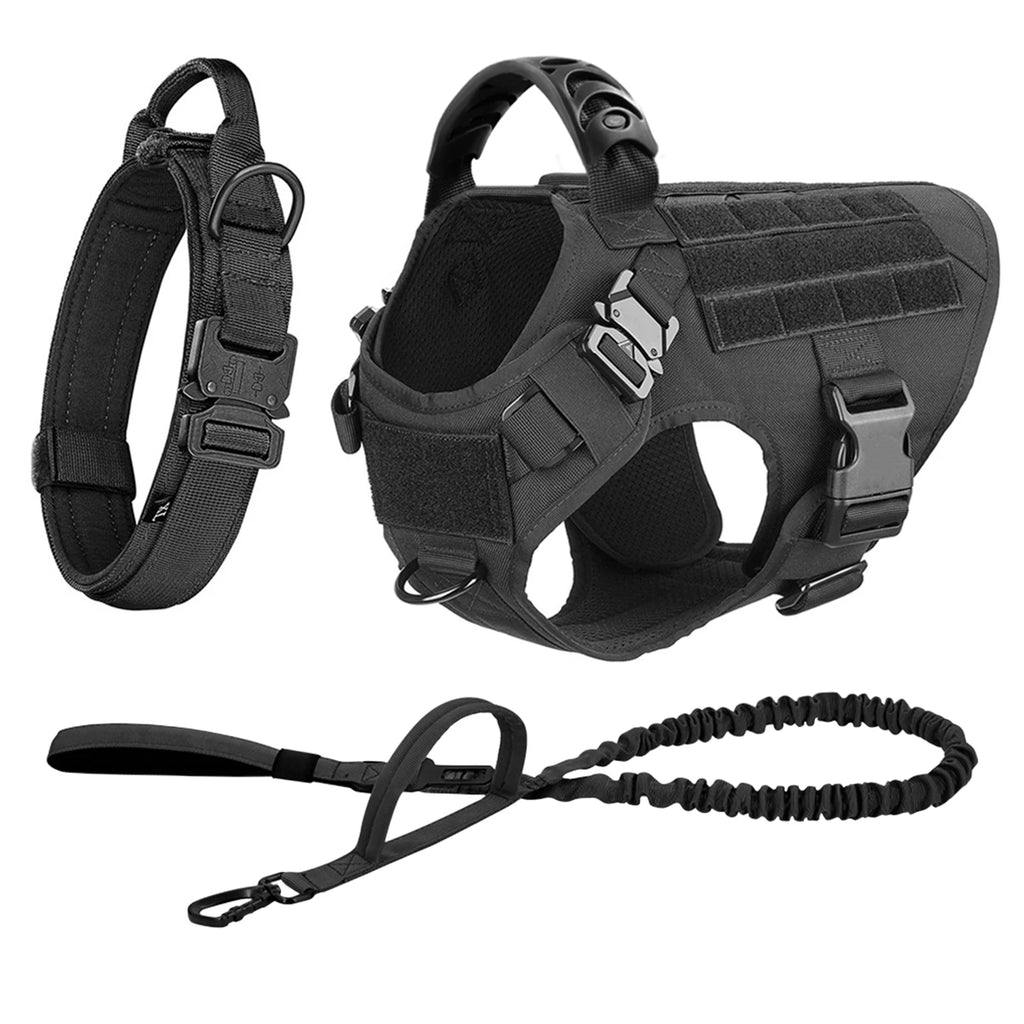 Leash, Harness And Collar For Medium Large Dogs