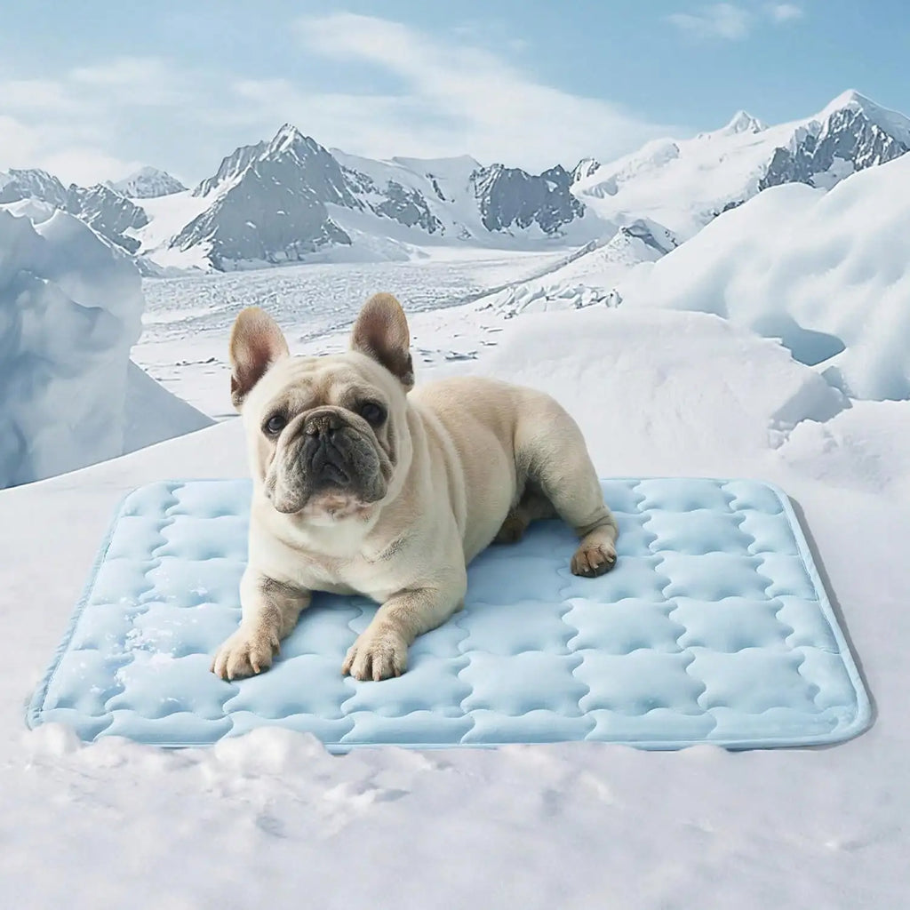 Summer Pet Cooling Mat For Dogs & Cats