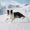 Summer Pet Cooling Mat For Dogs & Cats