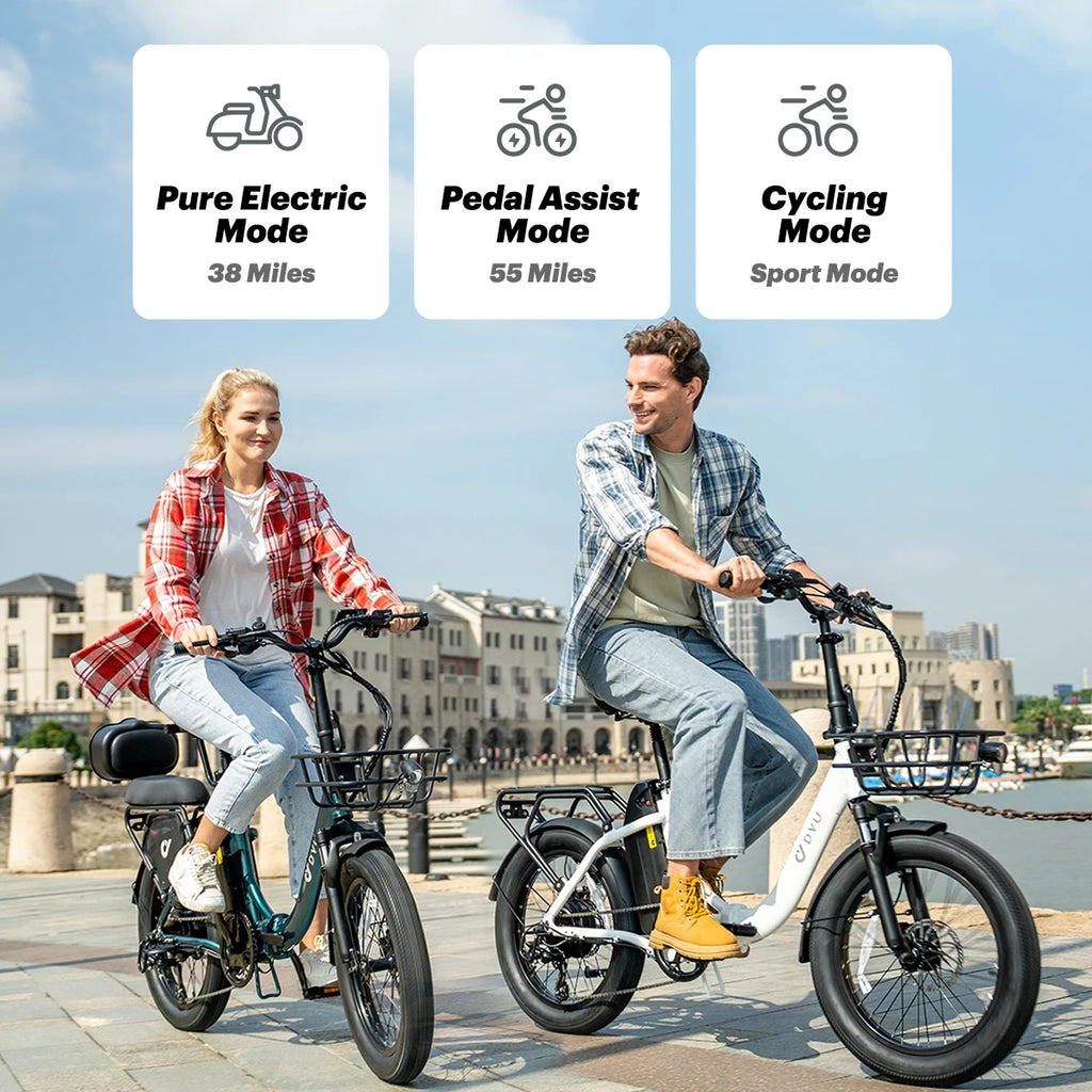 DYU C9 Electric Bicycle Peak 1000W Motor 48V15.6AH Lithium Battery Electric Bike Hydraulic Brake 20*3.0 Inch Fat Tire E-bike