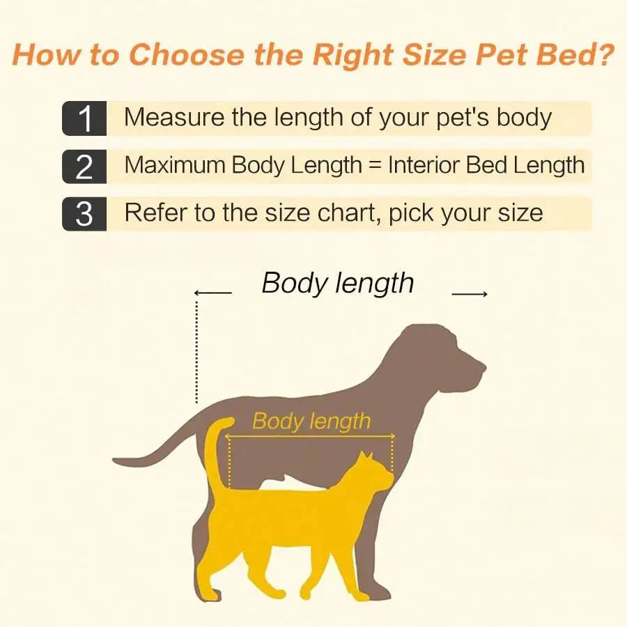 Dog Bed Dog Beds Puppy Keep Search Orthopedic Dog Bed Medium Sized