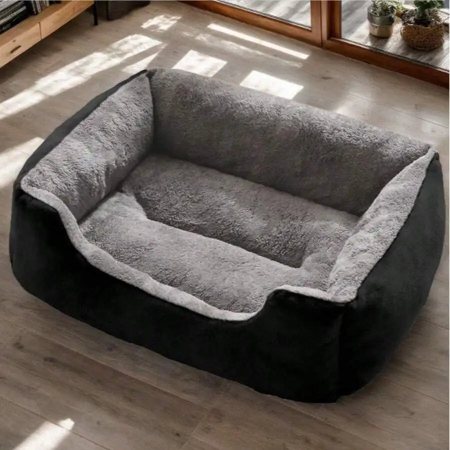 Dog Bed Dog Beds Puppy Keep Search Orthopedic Dog Bed Medium Sized