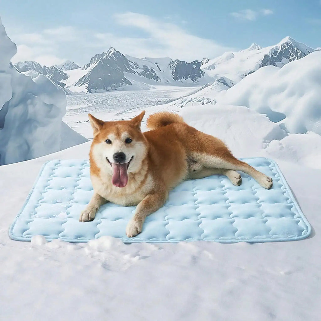 Summer Pet Cooling Mat For Dogs & Cats