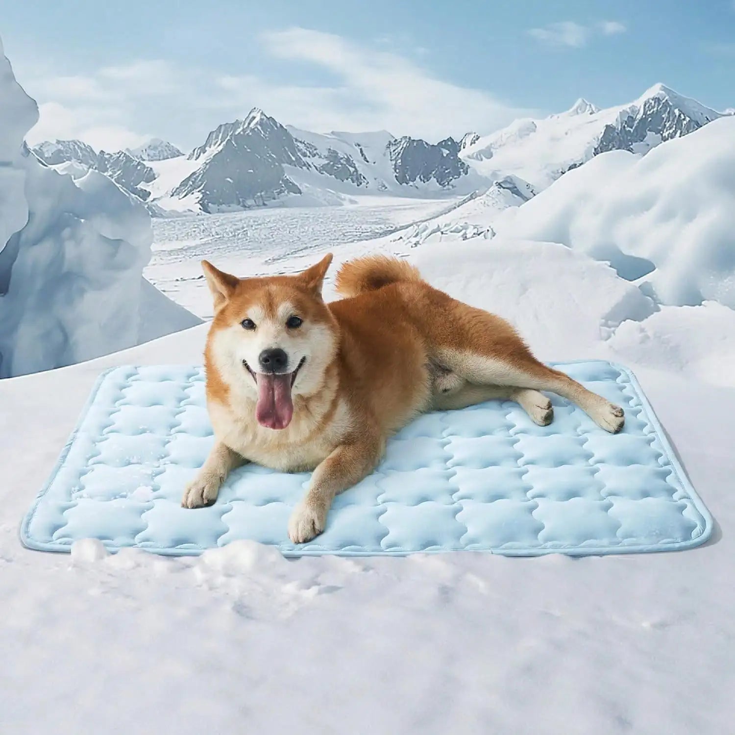 Summer Pet Cooling Mat For Dogs & Cats