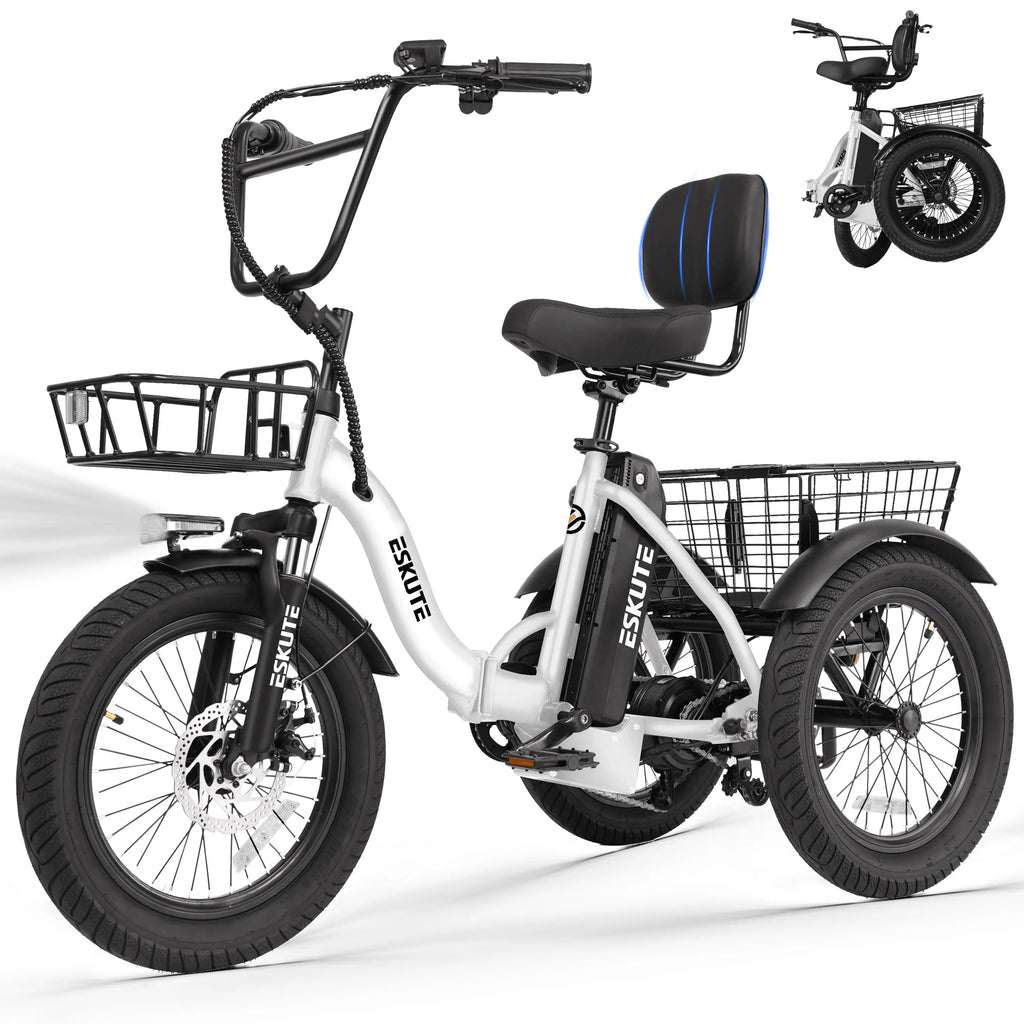 T300 Electric Bicycle Trike for Adults