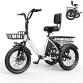 Folding Trike Ebike