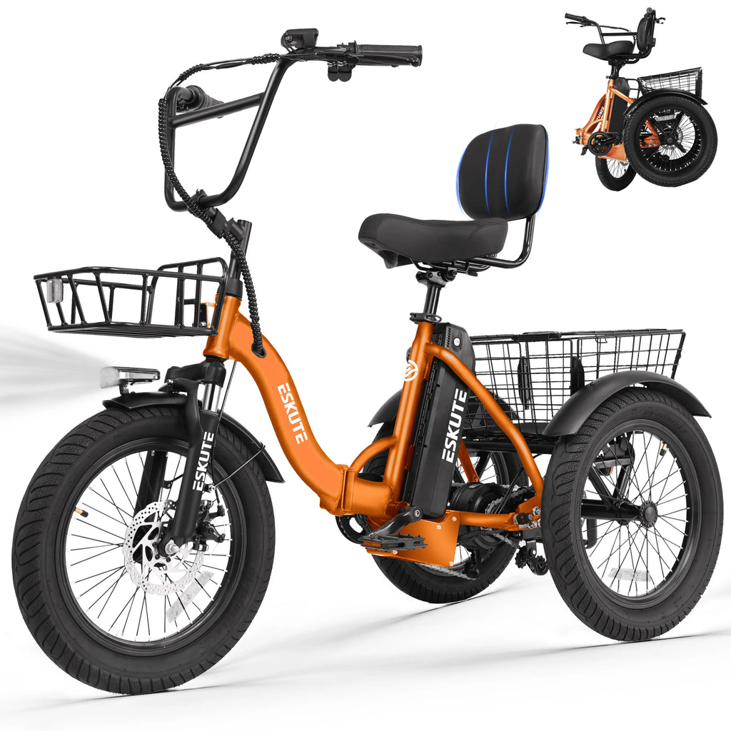 T300 Electric Bicycle Trike for Adults