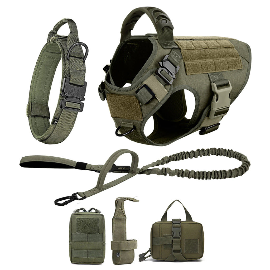 Leash, Harness And Collar For Medium Large Dogs