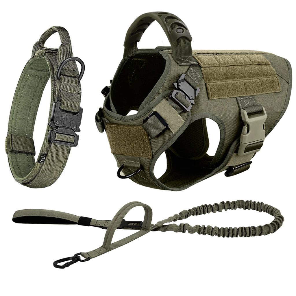 Leash, Harness And Collar For Medium Large Dogs