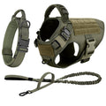 Leash, Harness And Collar For Medium Large Dogs